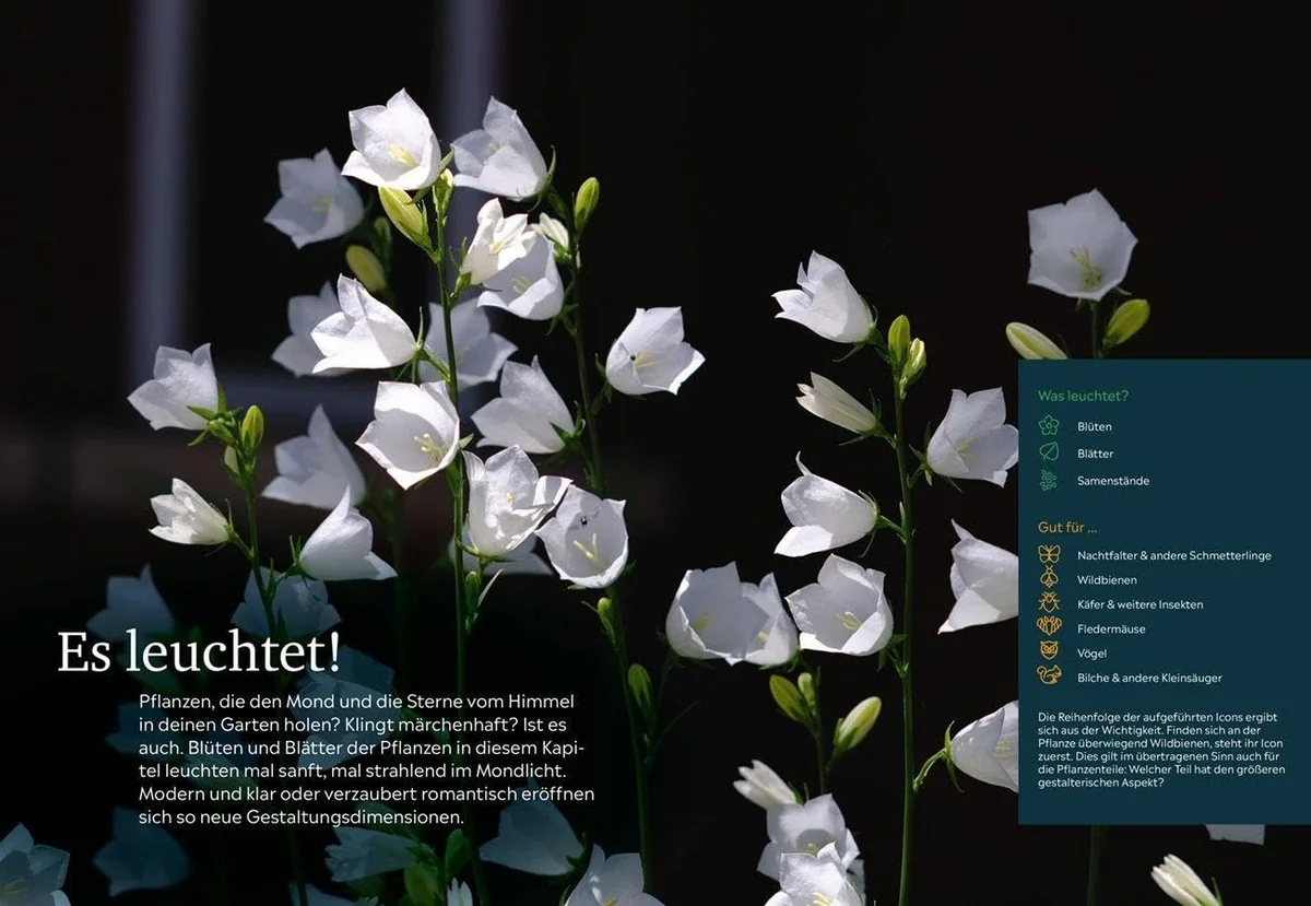 Es leuchtet NG